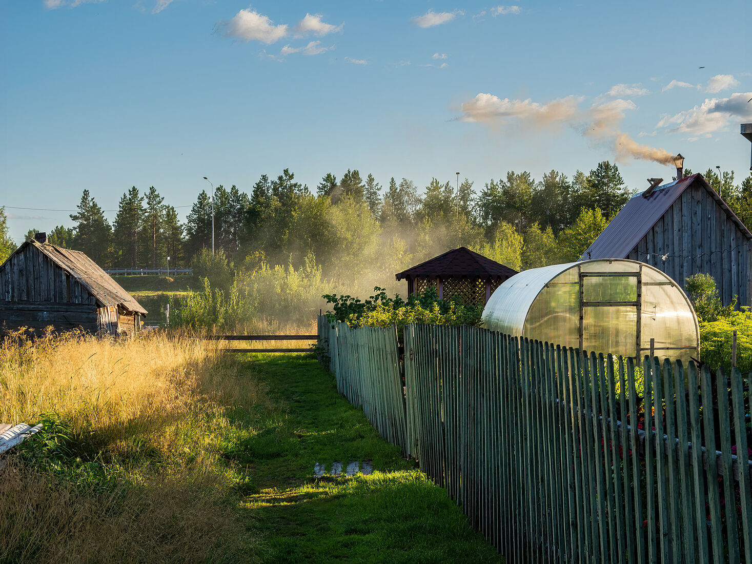 OLYMPUS DIGITAL CAMERA