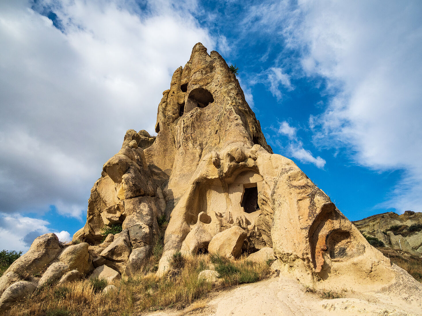 OLYMPUS DIGITAL CAMERA