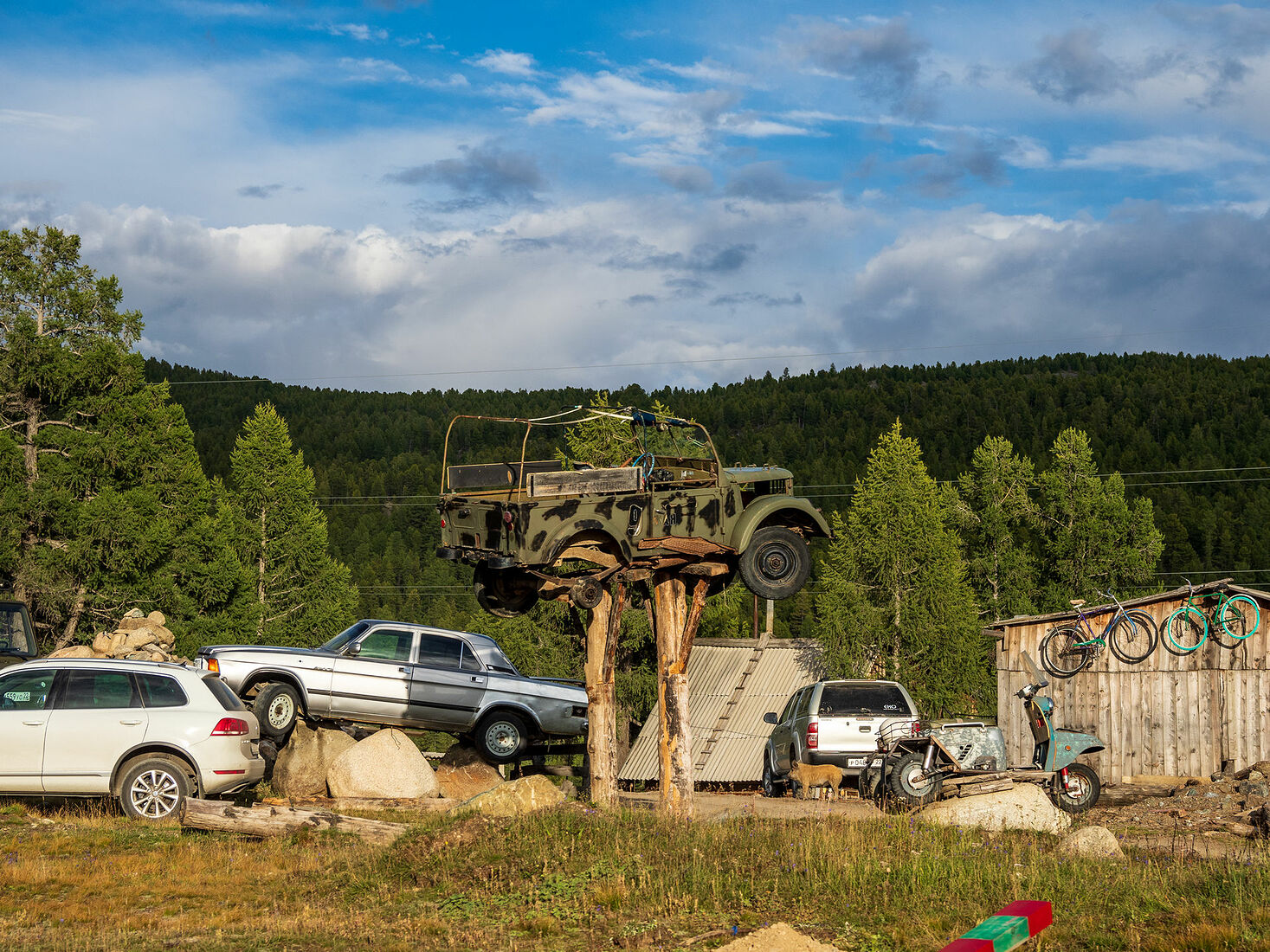 OLYMPUS DIGITAL CAMERA