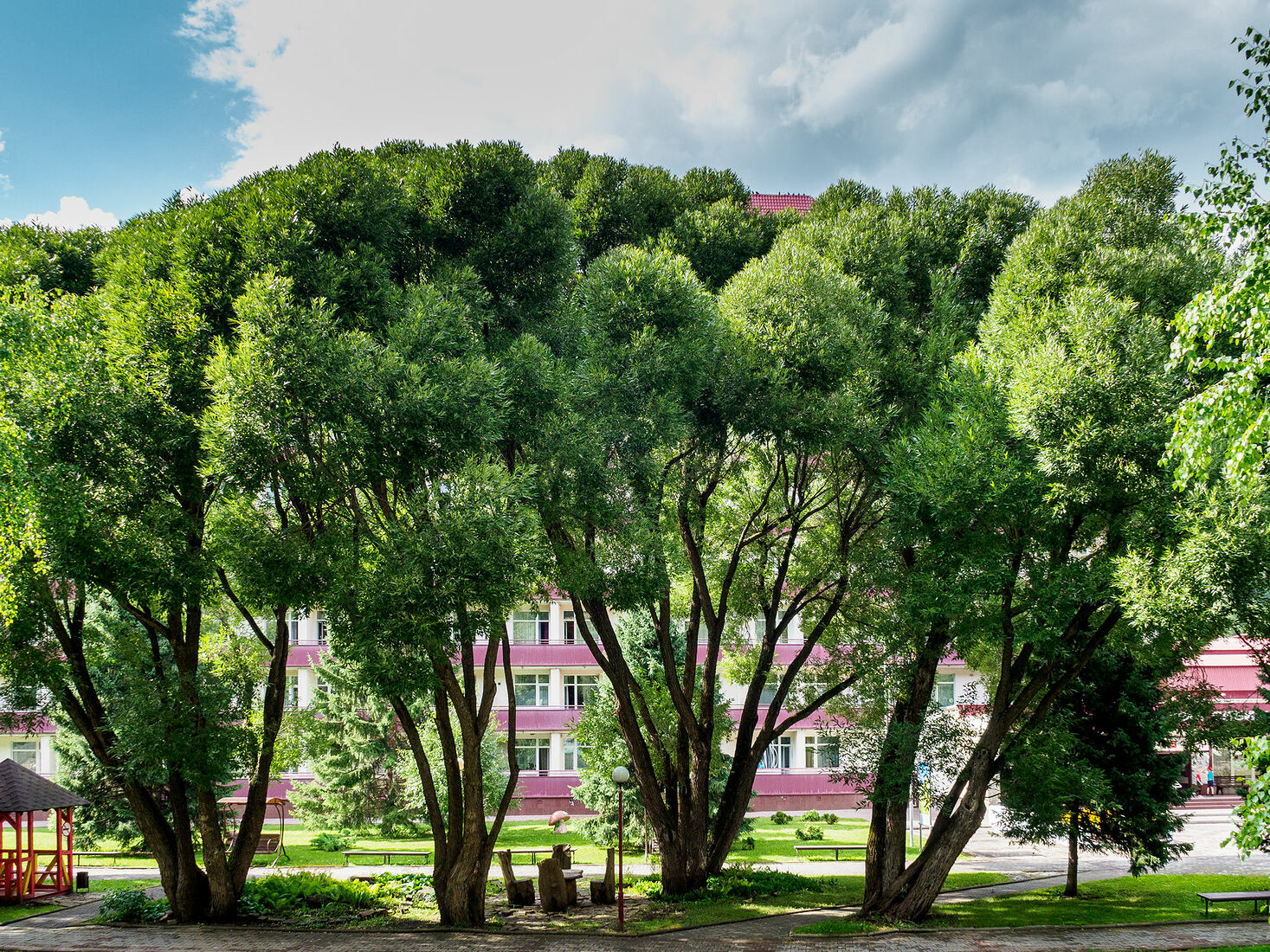 OLYMPUS DIGITAL CAMERA