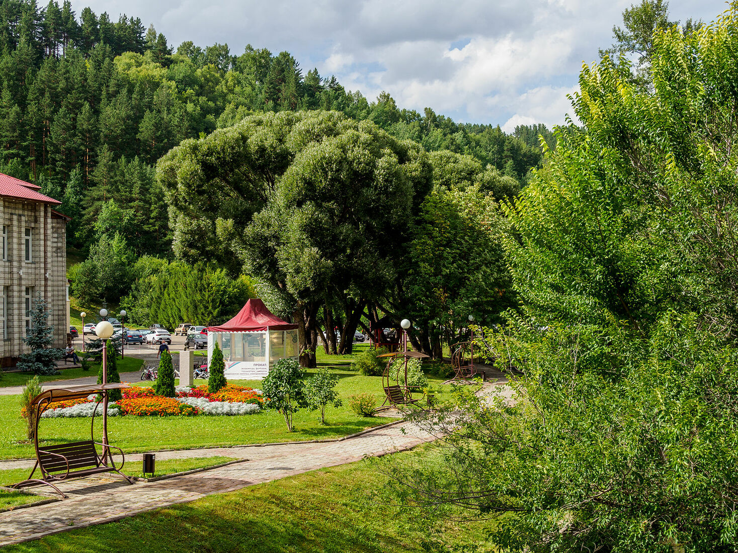 OLYMPUS DIGITAL CAMERA