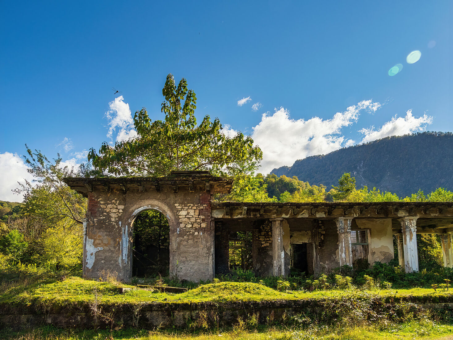 OLYMPUS DIGITAL CAMERA