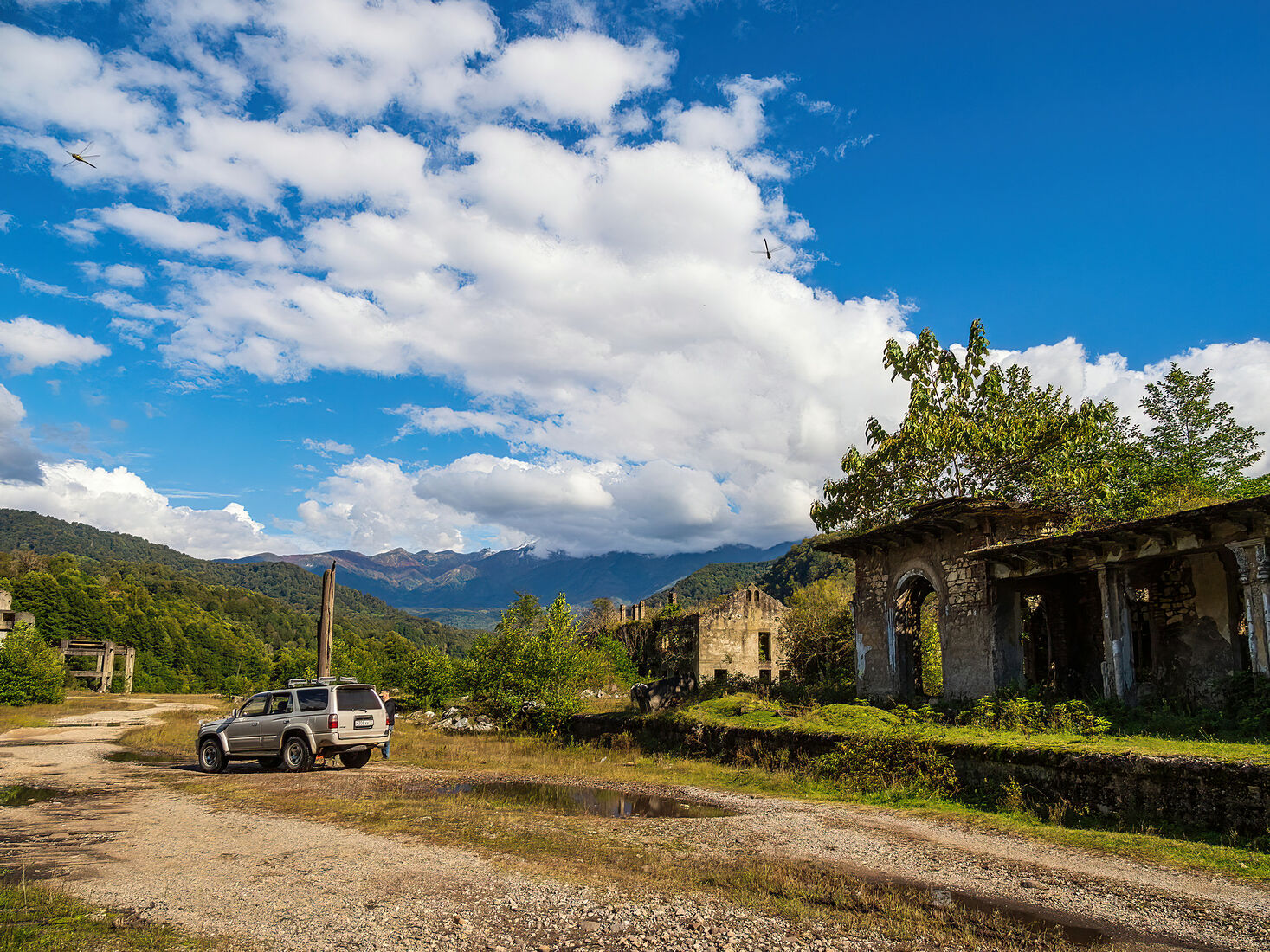 OLYMPUS DIGITAL CAMERA