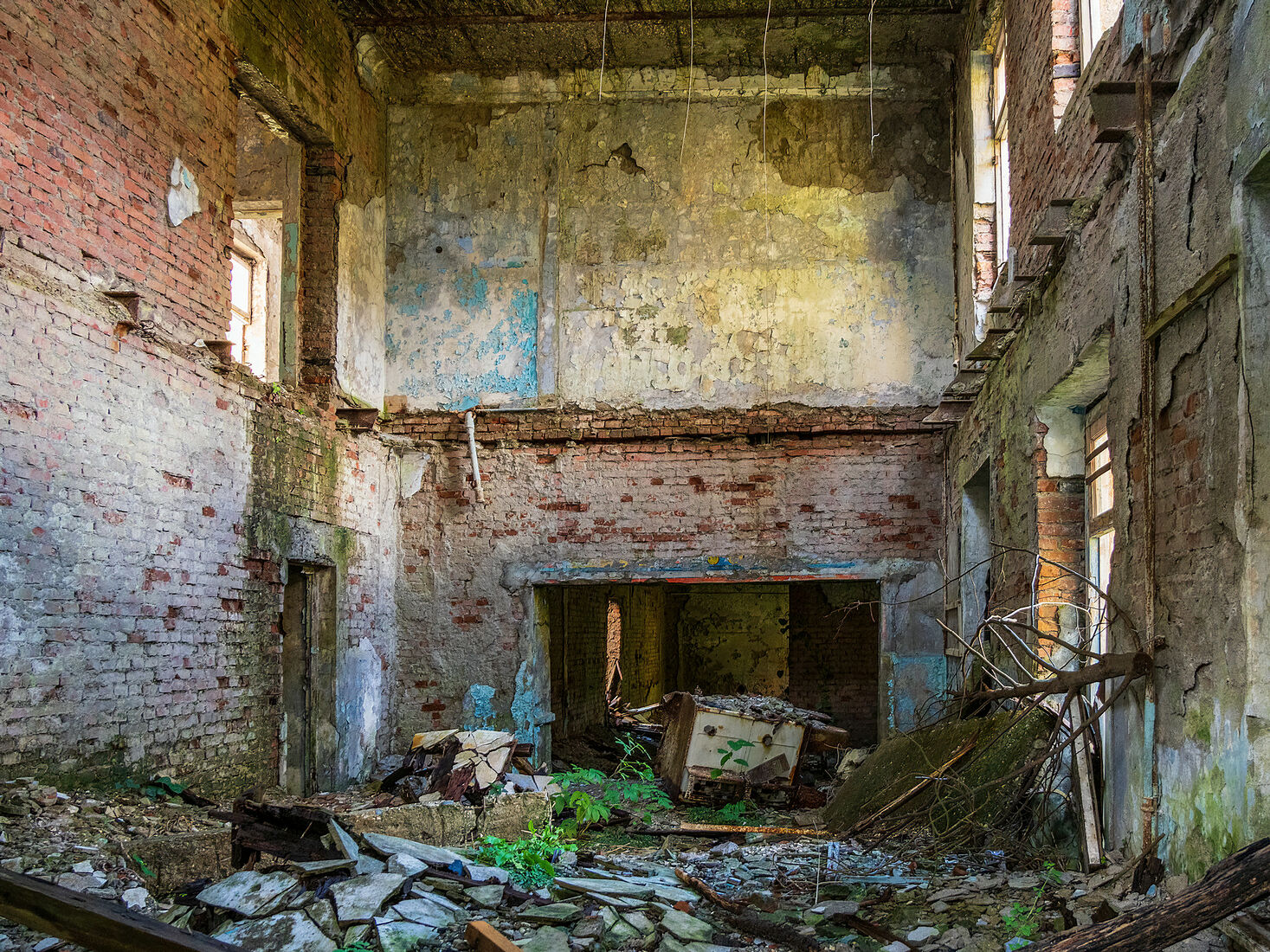 OLYMPUS DIGITAL CAMERA