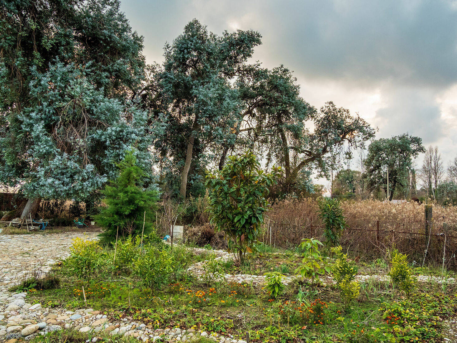 OLYMPUS DIGITAL CAMERA