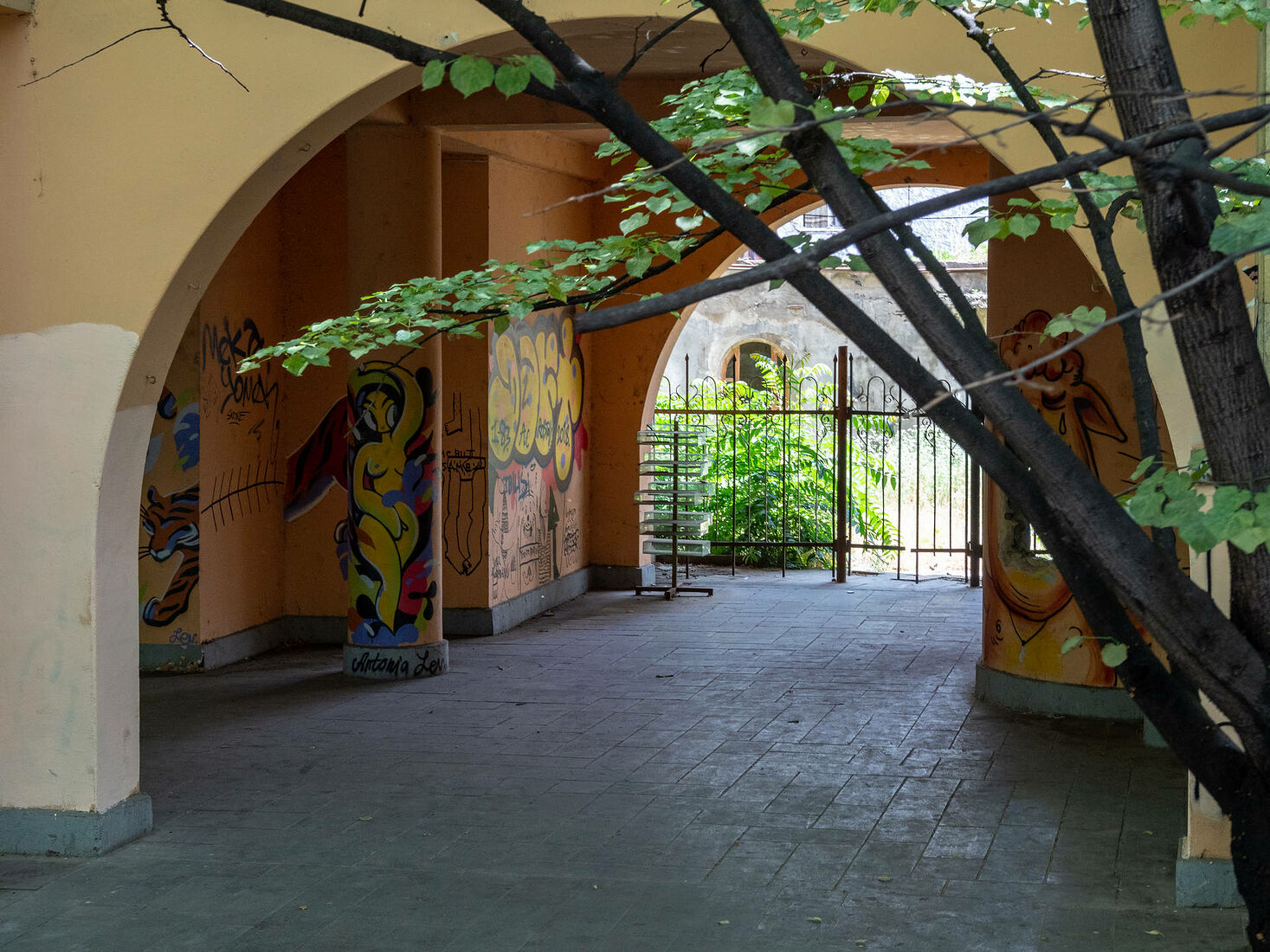 OLYMPUS DIGITAL CAMERA