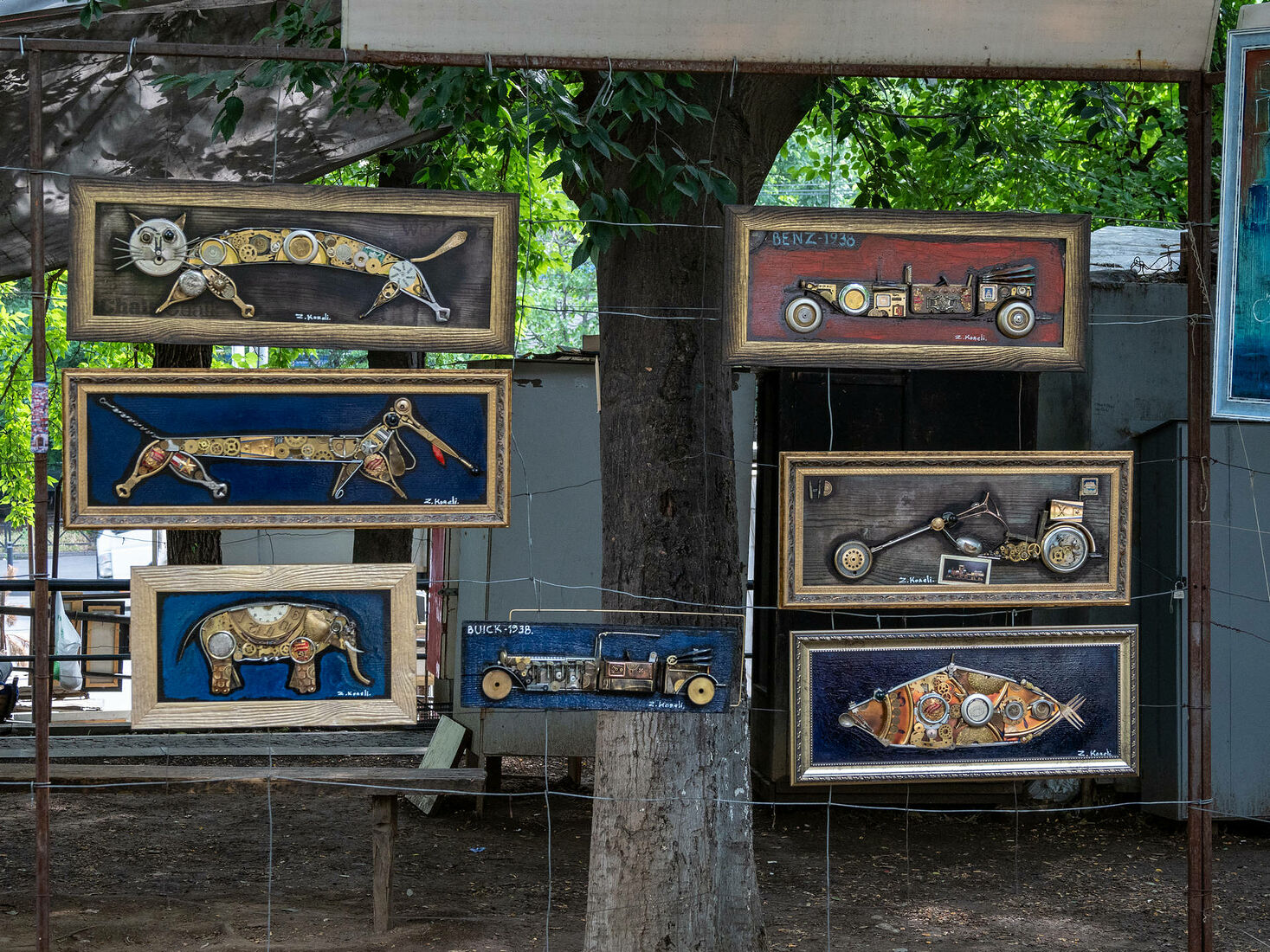 OLYMPUS DIGITAL CAMERA