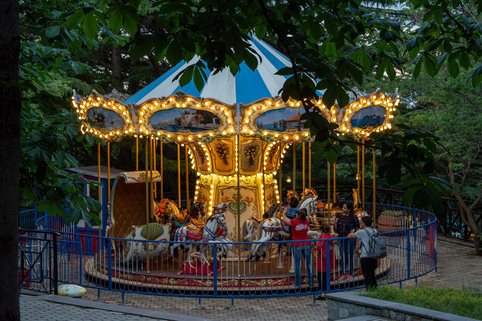 OLYMPUS DIGITAL CAMERA