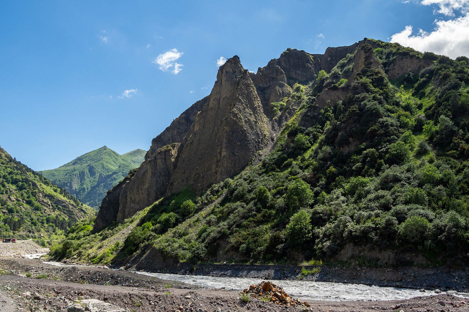 OLYMPUS DIGITAL CAMERA