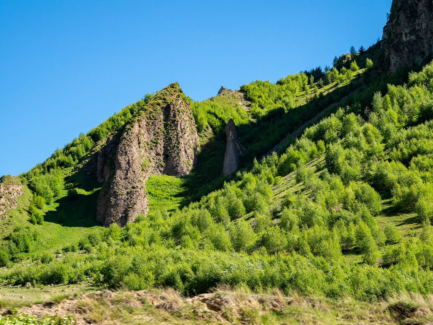 OLYMPUS DIGITAL CAMERA