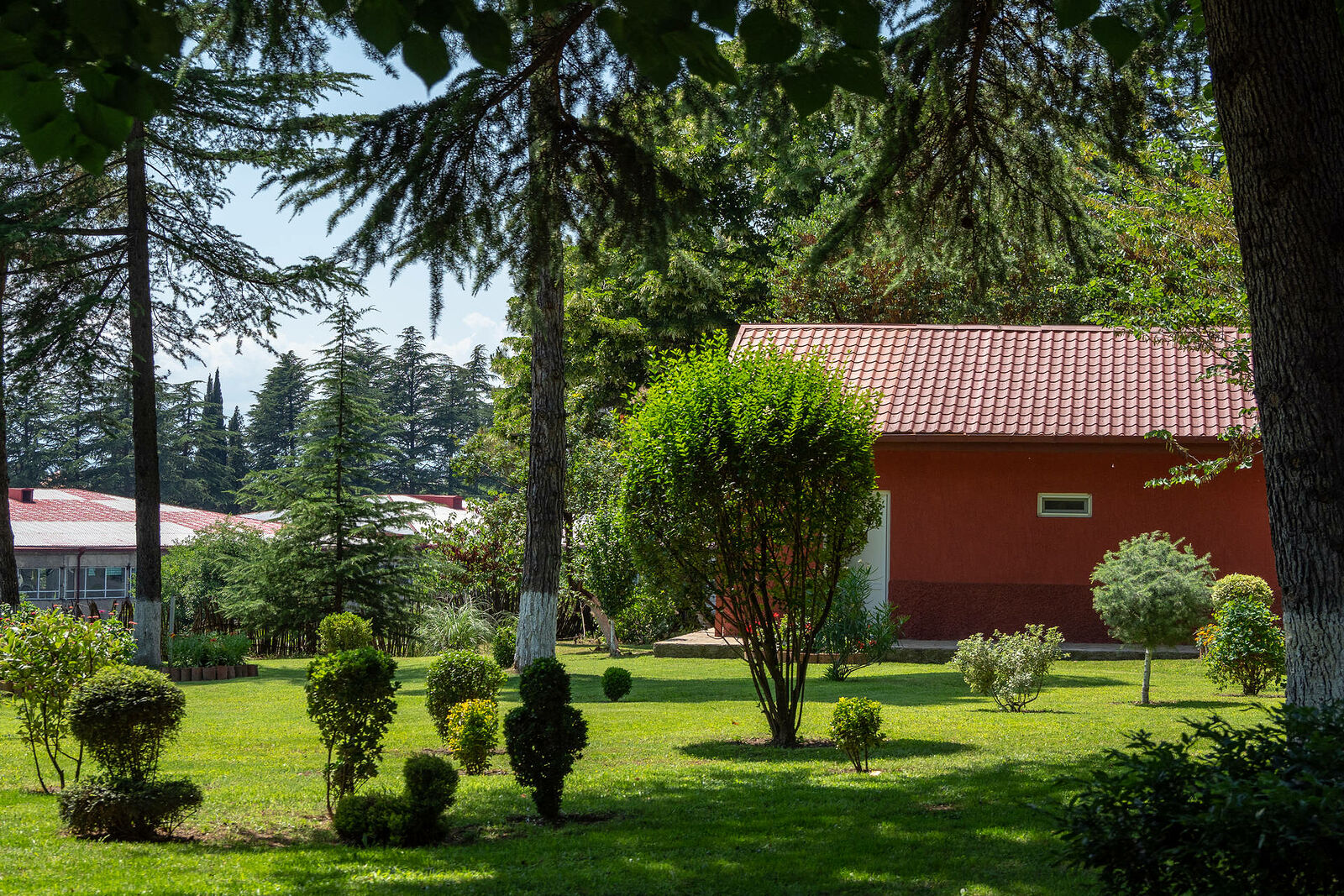 OLYMPUS DIGITAL CAMERA