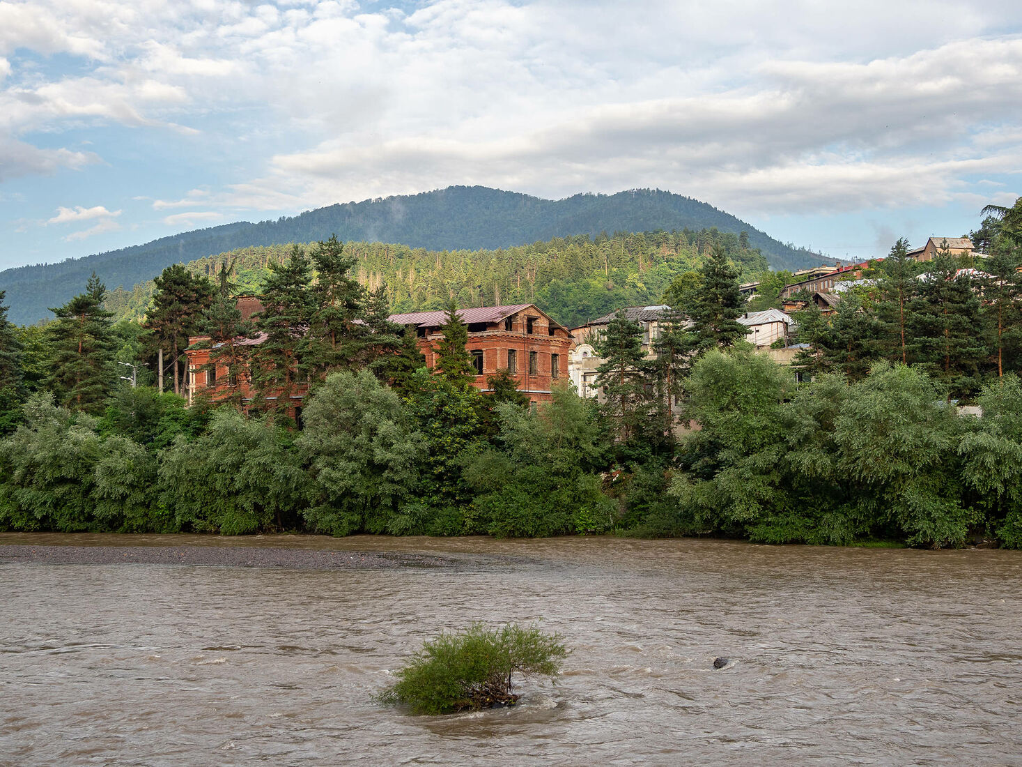 OLYMPUS DIGITAL CAMERA