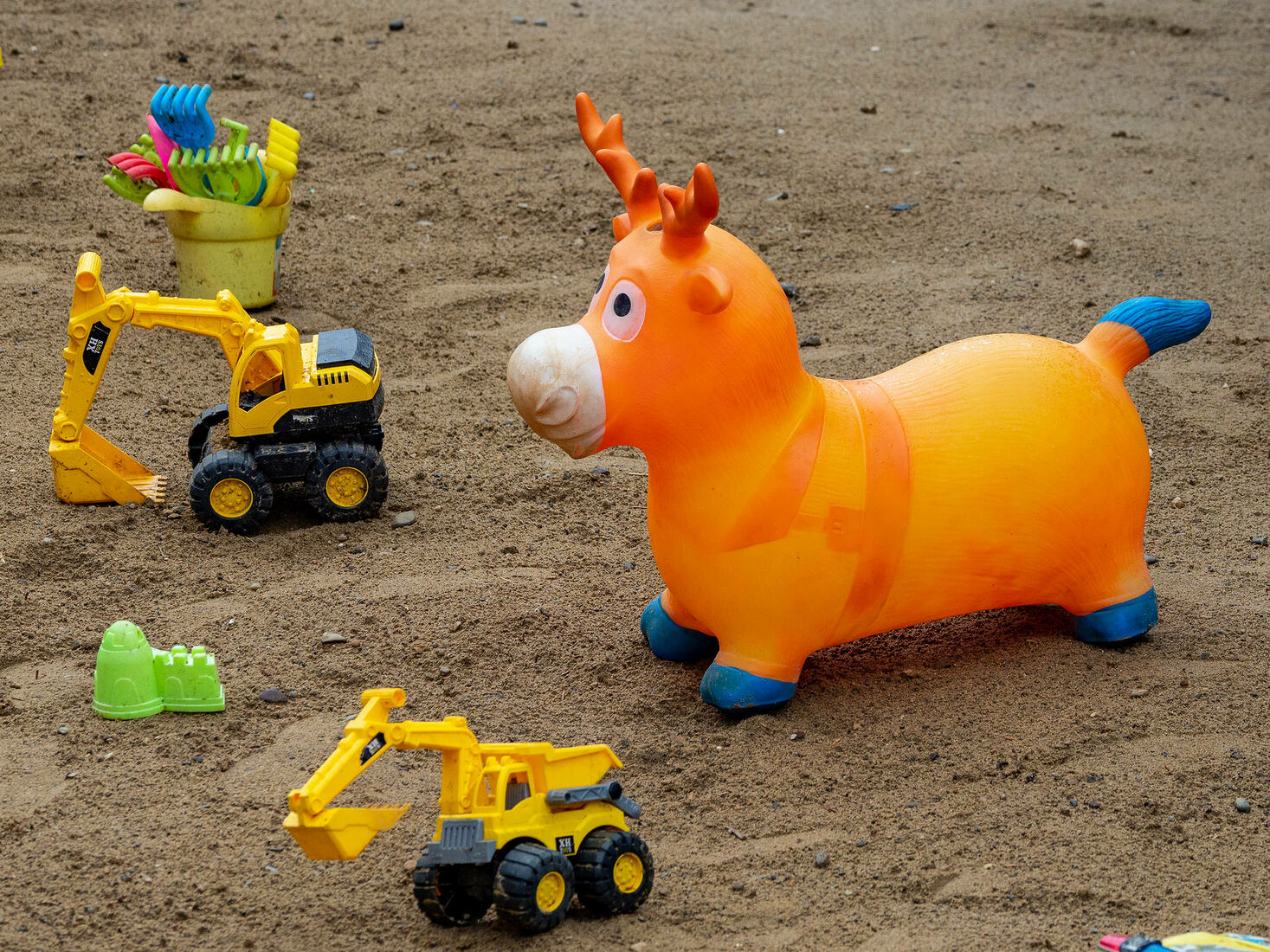 OLYMPUS DIGITAL CAMERA