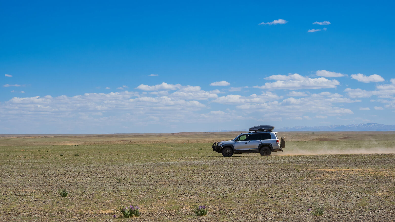 фотограф Павел Козионов. Пустыня Гоби. Из окна автомобиля. Часть 2. Без названия