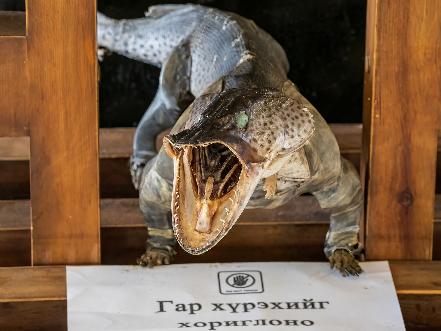 фотограф Павел Козионов. Окрестности Улан-Батора. Без названия